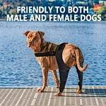 dog leg brace for acl injury