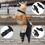 dog leg brace for torn acl