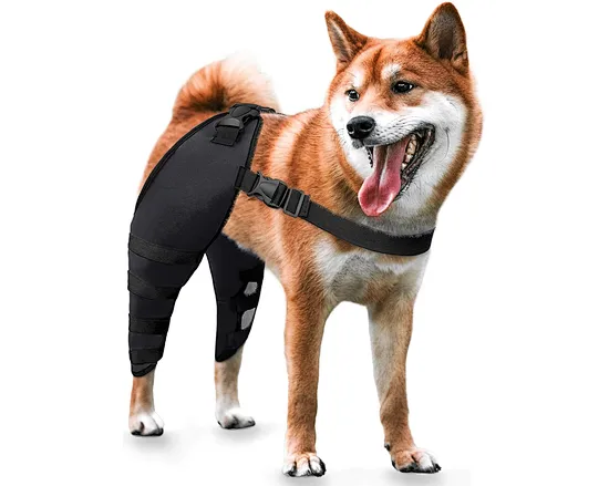 Dog Knee Braces More balanced and stable than one-leg design. Our affordable dog knee braces can provide instant relief, allowing your furry friend to walk with confidence again!