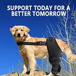 dog leg brace for torn acl